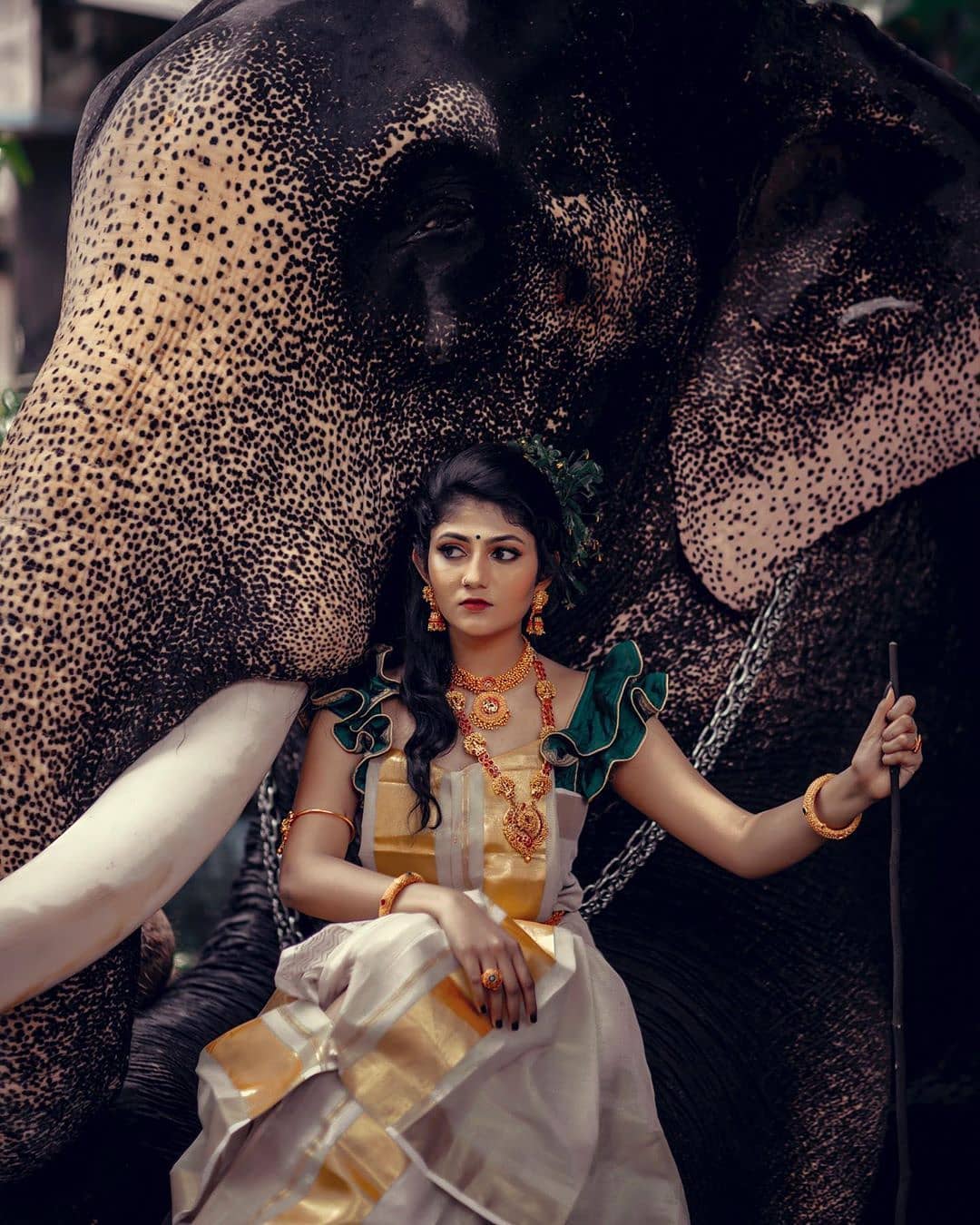 Malayalam actress drishya raghunath onam photoshoot with elephant