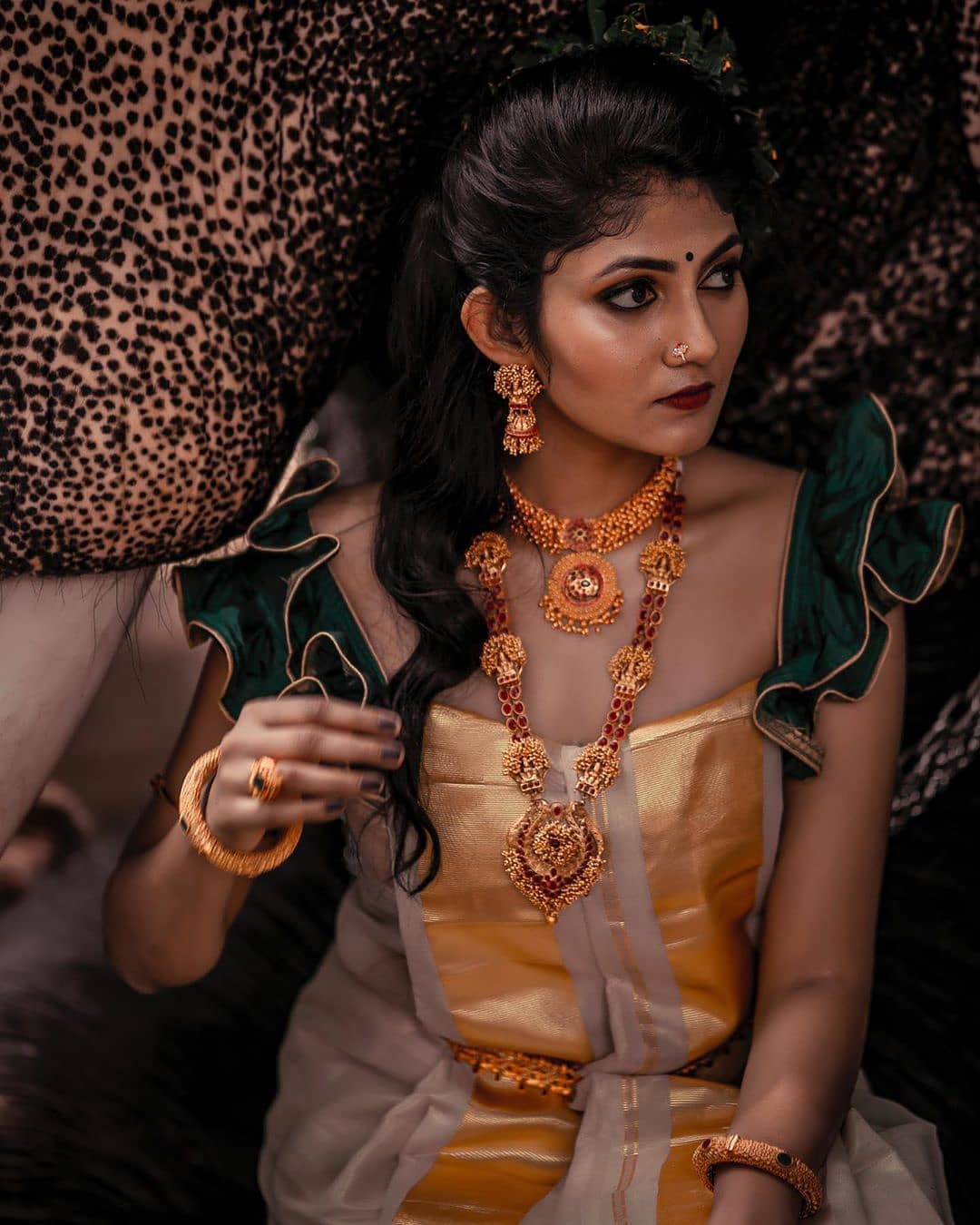 Malayalam actress drishya raghunath onam photoshoot with elephant