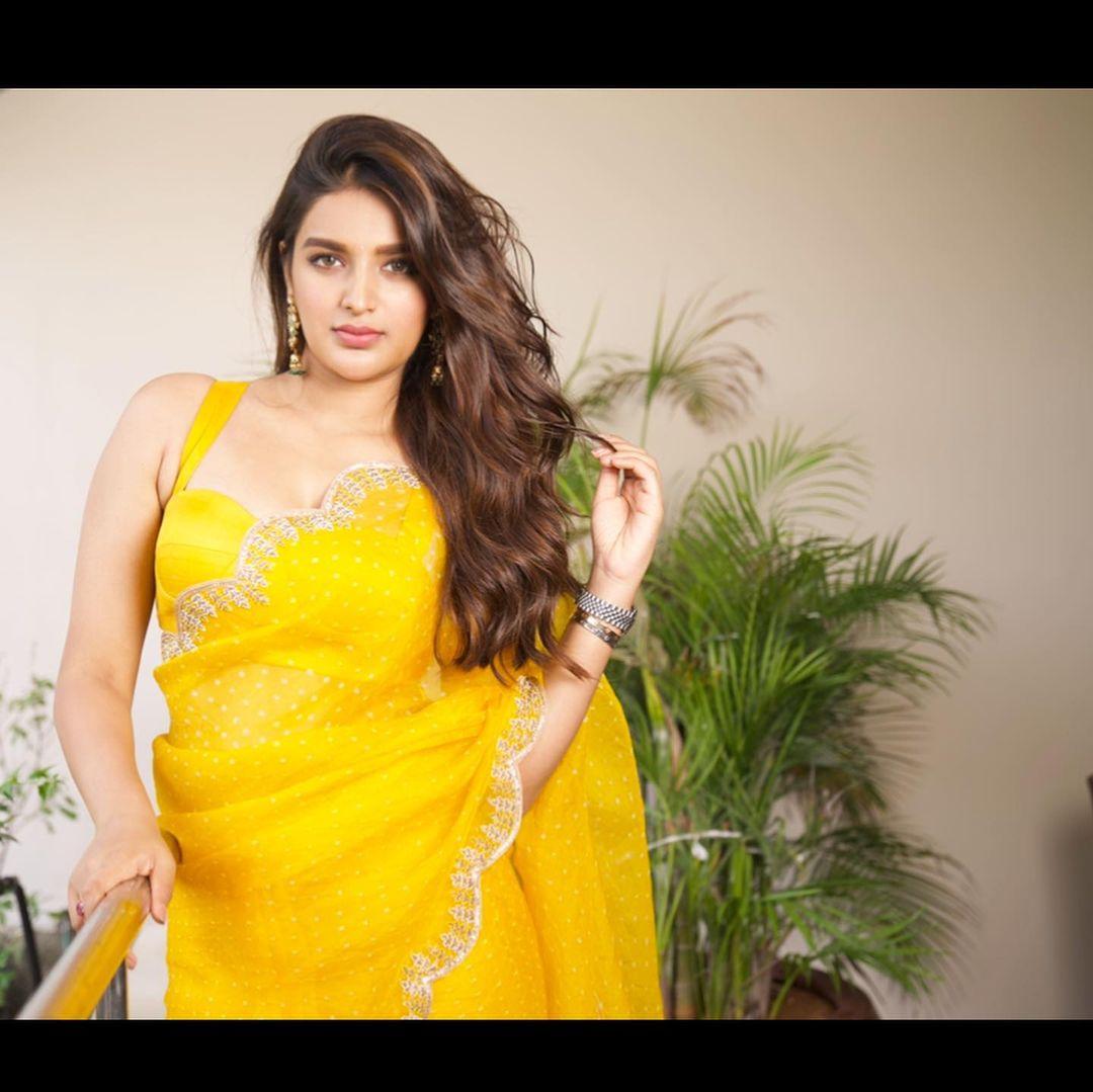 South indian actress saree hot photos | Nidhhi Agerwal looking ...