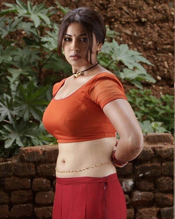 Richa Langella showing navel hot photos | Richa Langella exposing hot photos gallery