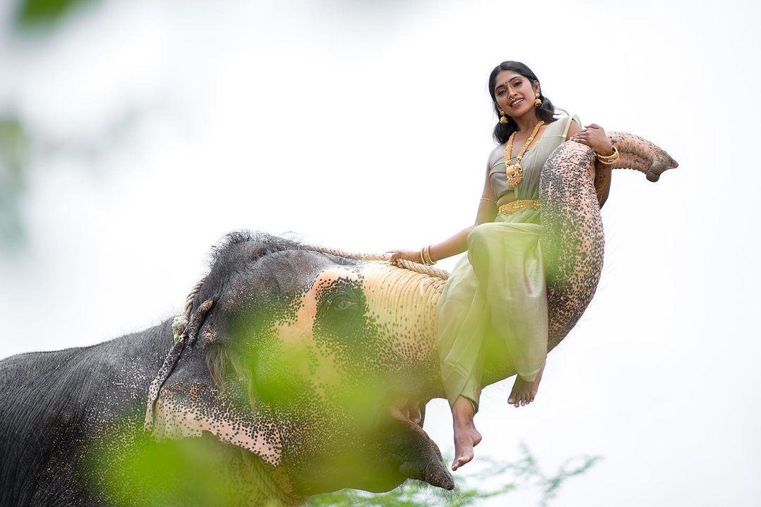 bigg Boss Frame Suruthi Periyasamy with elephant hot photos | Suruthi Periyasamy exclusive hot photos gallery