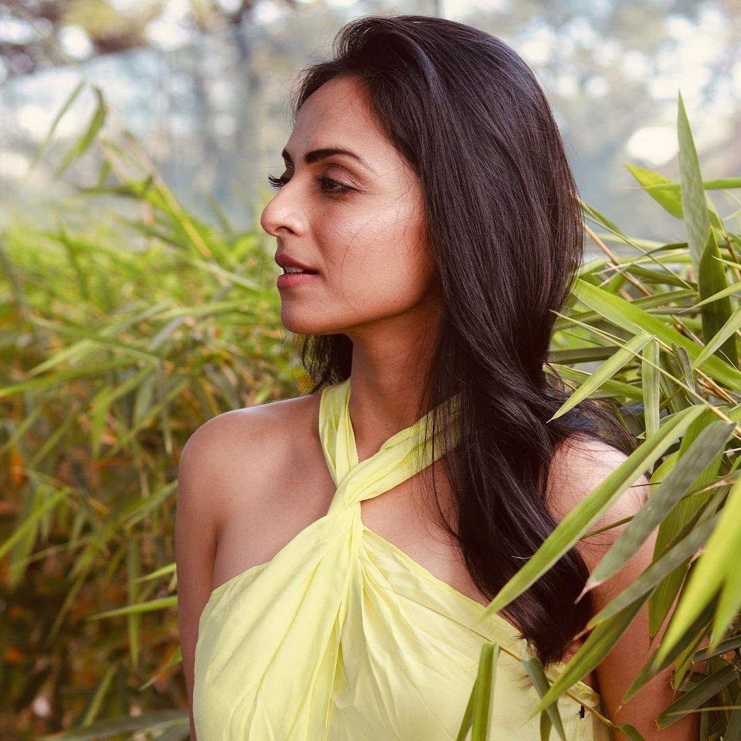 South Indian actress Richa Pallod exclusive hot and sexy photoshoot |Richa Pallod very attractive and hot stills