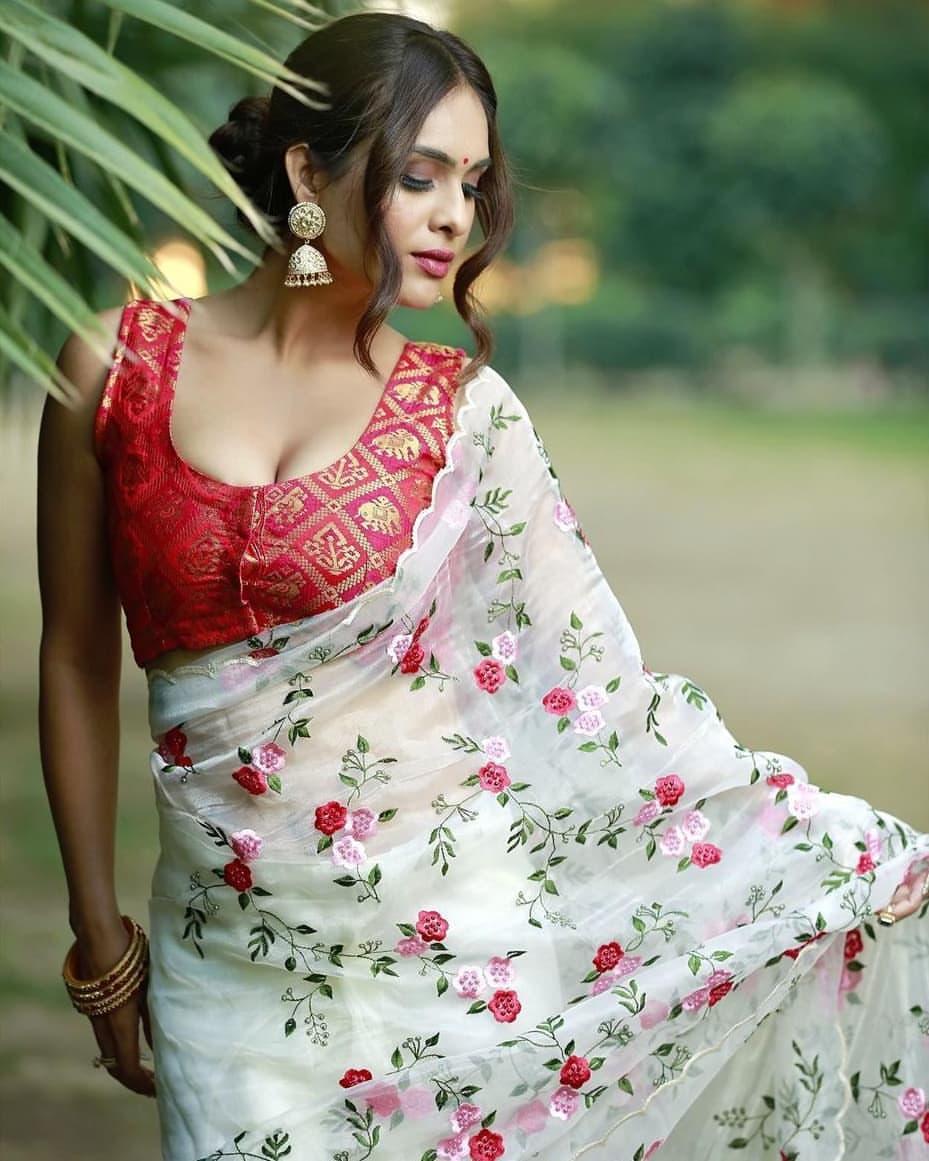 Neha Malik showing cleavage in Saree hot photos |Neha Malik exclusive hot and spicy photos