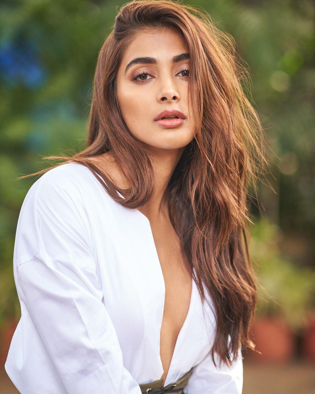 Beautiful and glamours photos | Pooja Hegde showing cleavage photos gallery
