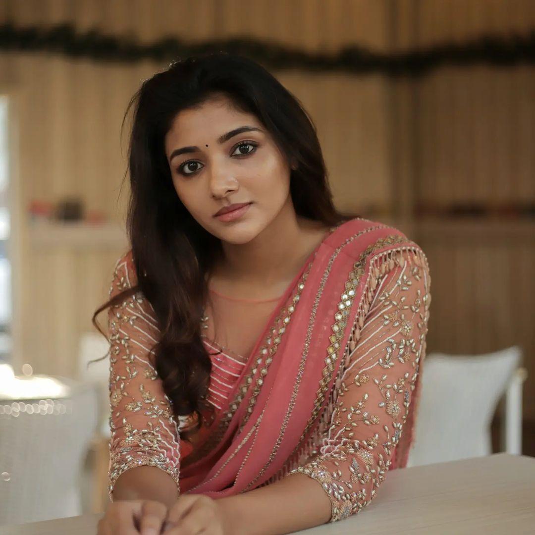 South Indian Actress hot photos | Mirna Menon sexy transparent saree hot and spicy photos