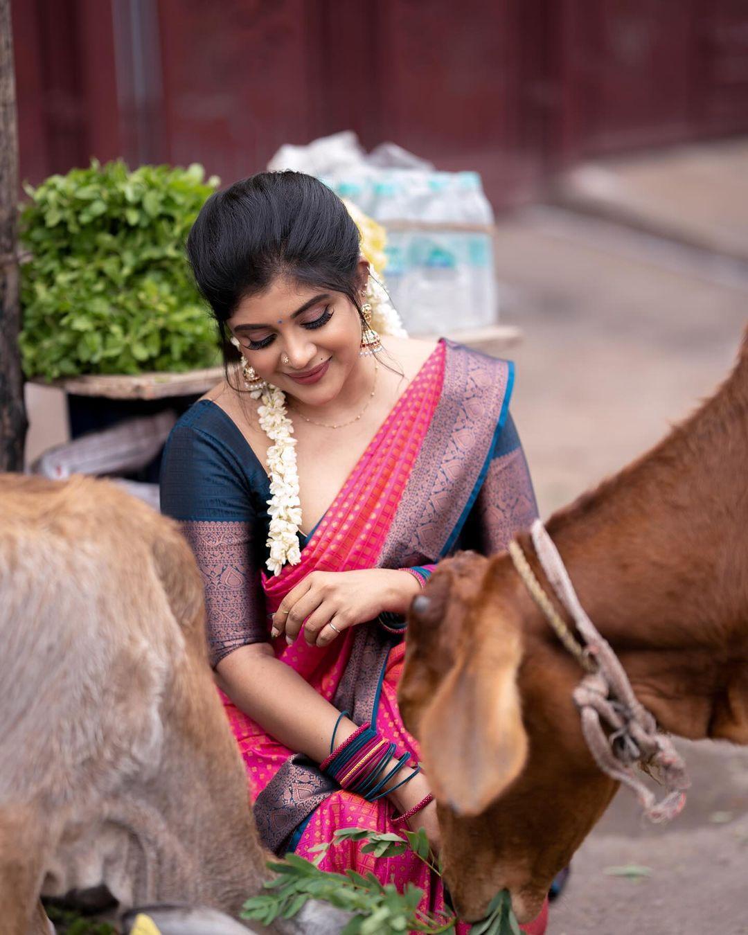 Exclusive hot photos | Gayathri shan in saree hot photos gallery