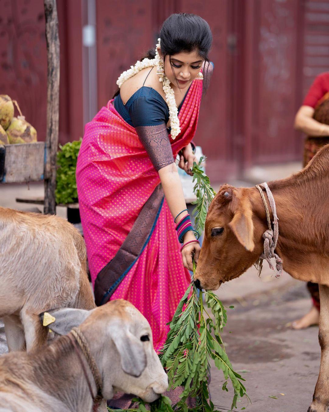 Marriage photos gallery | Gayathri shan in saree hot photos gallery